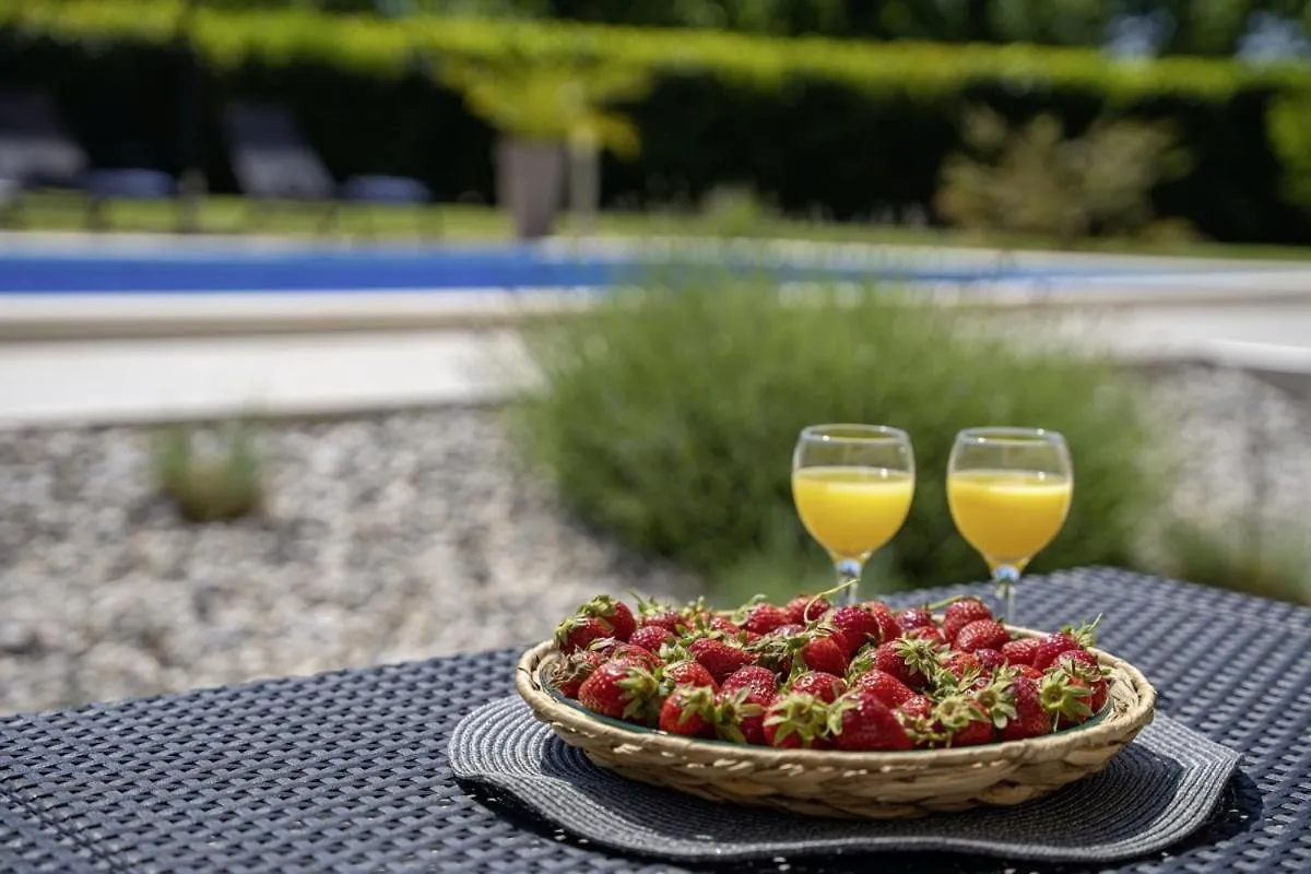 Villa Bozac In Cukrici - Haus Fuer 6 Personen Svetvinčenat